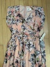 Eliza J Floral Floral Hi Lo Dress Size 4 Pink Sleeveless