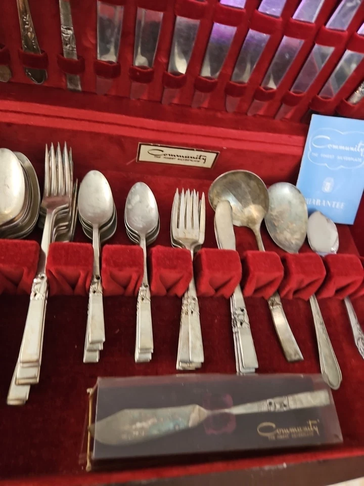 Cubiertos de acero inoxidable Oneida Morning Star Community 56 piezas Foto 2 de 4