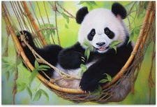 Bvkilrvc Unframed Canvas Print Wall Art,Cute Baby Panda Modern Gallery Wall... 