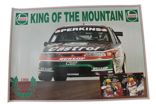 Larry Perkins Poster 1995 Bathurst 1000 Winner Holden VR CommodoreIngall