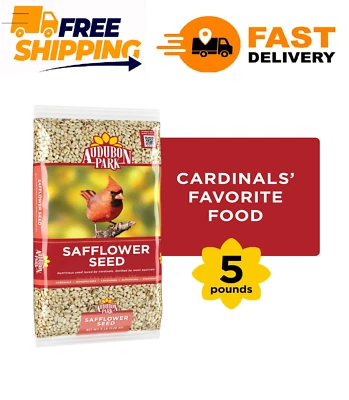 Audubon Park Safflower Seed Wild Bird Food, Dry, 1 Count per Pack, 5 lb. Bag