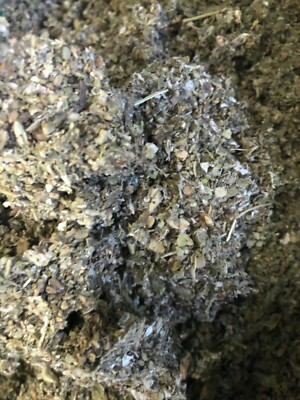 Marshmallow + Mullein + Raspberry Leaf Herb Mix - 1/2 LB