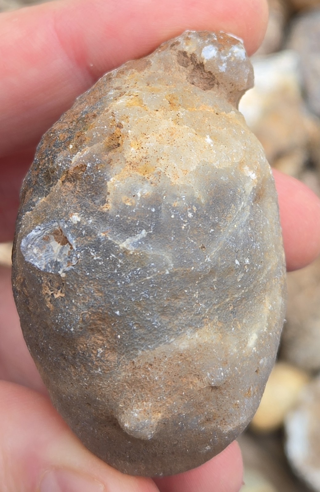 Oco Agate Geodes Whole - Mine Run Rough - 1 Pound Lb - Mostly Solid Agate