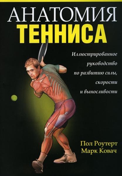tennis anatomy
