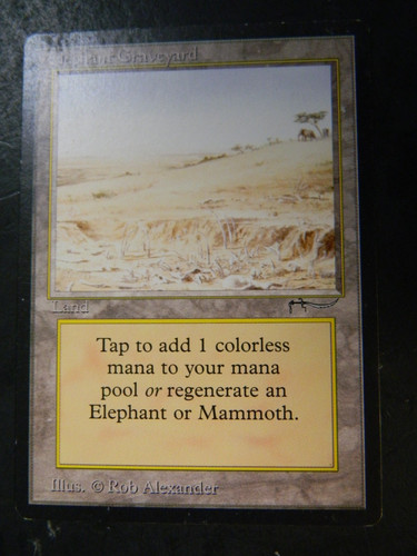 Vintage MTG Pre-Modern Arabian Nights Elephant Graveyard LP Condition #3