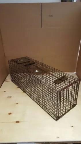 LIVE CAGE TRAP GREAT FOR RACCOON-OPOSSUM-SKUNK-ARMADILLO-FOX. MADE IN USA ZTRAP
