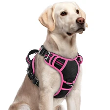 rabbitgoo Large Dog Harness No Pull Adjustable Pet Vest with 3 Buckles Reflectiv