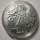2025 American Eagle Silver Dollar - 1 ea - 1 oz - 999 Silver - BU - In Capsule