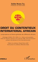 Saidou Nourou Tall | Droit Du Contentieux International Africain | Taschenbuch