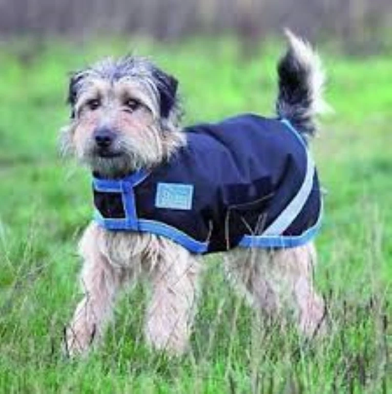 Dog Coat Waterproof Breathable Black Turquoise Extra Small Shires