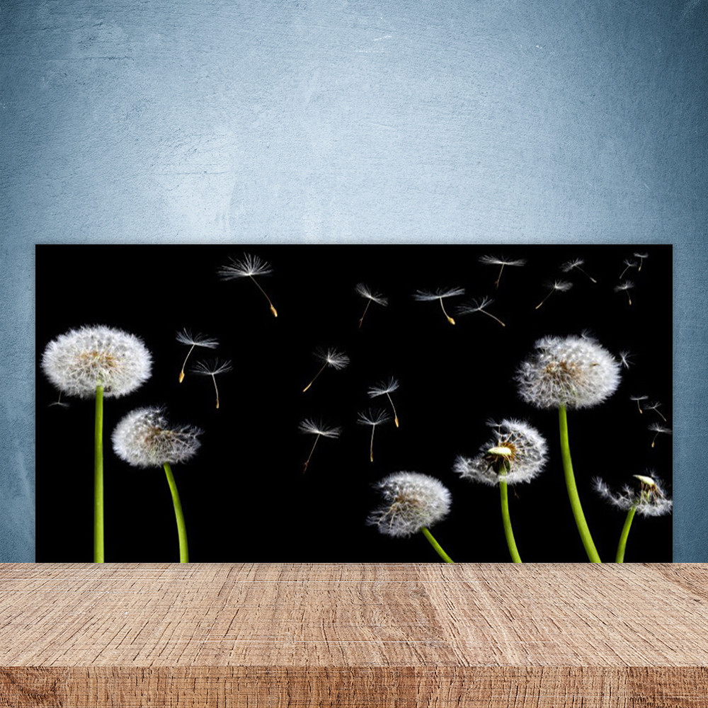 Paroi de cuisine en verre 100x50 anti-projections pour nettoyer vos murs sans effort