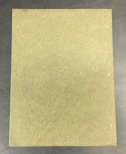 Rare 1927 The Writers Guide to Accuracy J.W. Roberts Letter Writing Punctuation - 第 6/6 張圖片