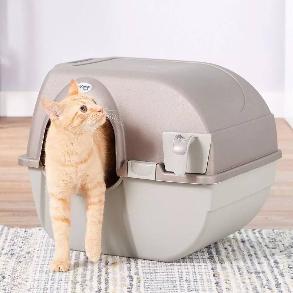 Self cleaning best sale litter