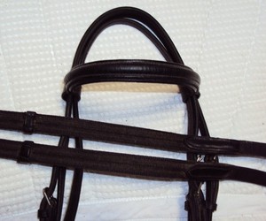 PLYMOUTH Dressage/English Bridle - PADDED/Raised -GREAT! Free Leather/Web Reins