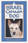 The Israel Canaan Dog By Myrna Shiboleth *Excellent Condition*