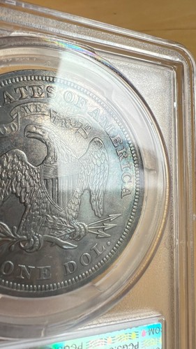 1873 $1 Seated Liberty SILVER DOLLAR Genuine - UNC Details (Cleaned) PCGS Toned - Picture 7 of 8