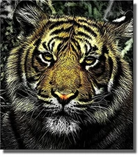 Tiger Head Picture on Stretched Canvas, Wall Art Decor Ready to Hang!.