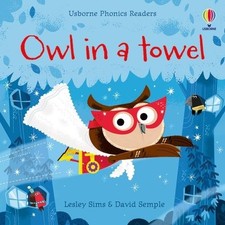 Image of Owl in a Towel Lesley Sims Paperback Usborne Publishing Ltd Pictu