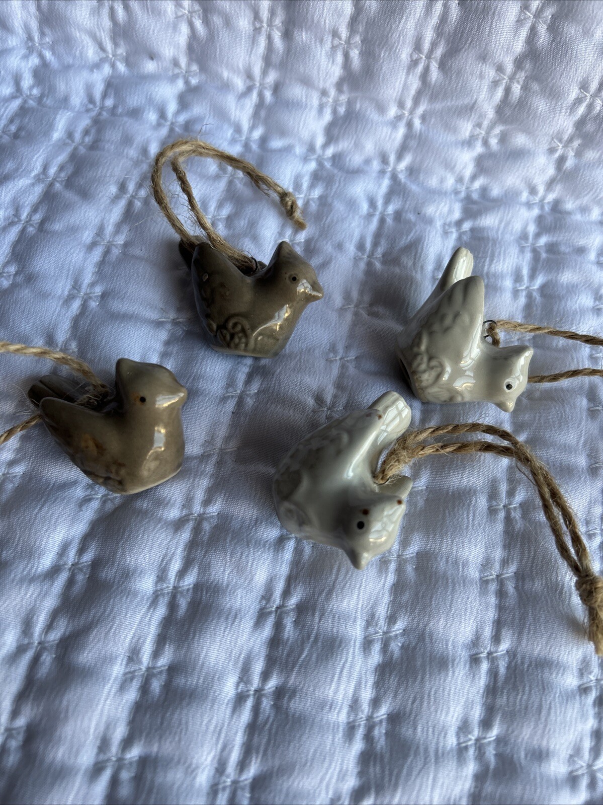 Picture 20 of 20