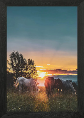 Pferde unter Sonnenuntergang Gerahmtes Wandbild Poster Leinwanddruck Bild