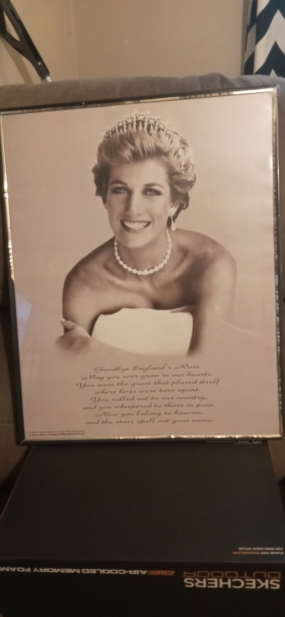 10x 16 Portrait Princess Diana | eBay