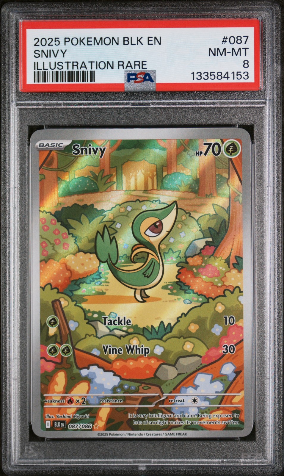 SNIVY #087 ILLUSTRATION RARE 2025 POKEMON BLK EN BLACK BOLT PSA 8