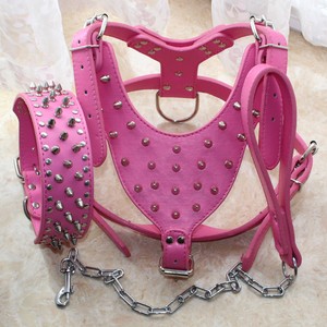 pitbull collars ebay
