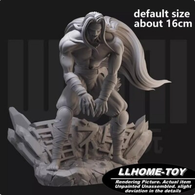 Anime Character Raizen ferocious monster Resin 3D Print GK Figure DIY Model
