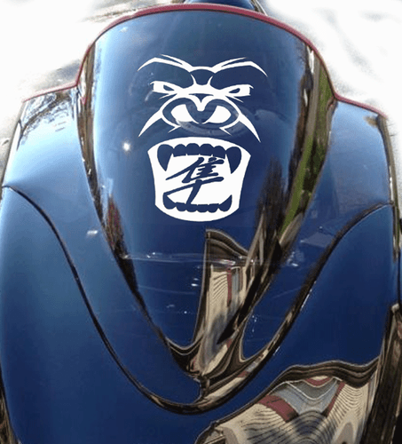 PEGATINA DE CALCOMANÍA DE MOTOCICLETA HAYABUSA - Imagen 4 de 9