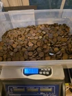 10 Pounds At Least 1500 Lincoln Wheat Pennies 1909-58 Bulk Mix FREE SHIPPING
