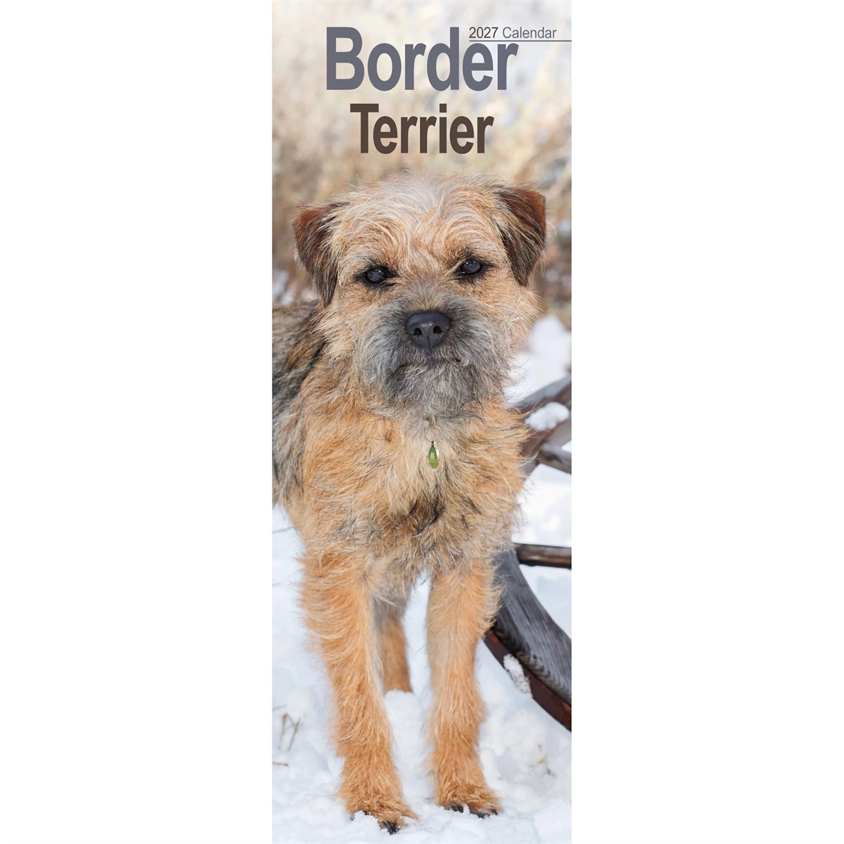 Border Terrier Slim 2027 Calendar | Slimline Wall Calendar | Dog Breed Gift | Plastic Free Packaging | by Avonside Publishing - Image 6