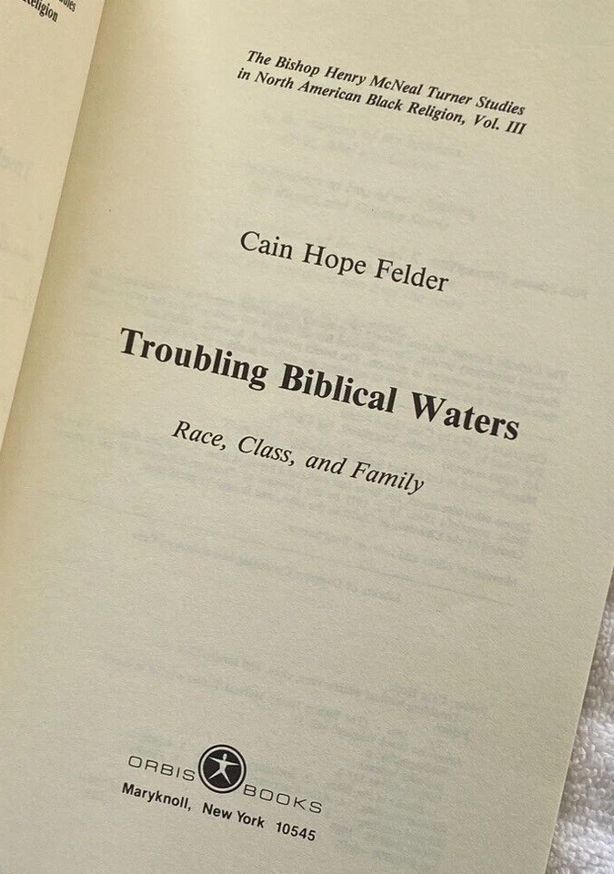 CAIN HOPE FELDER Troubling Biblical Waters: Race, Class, Family 1stEd SIGNED! Foto 4 de 4