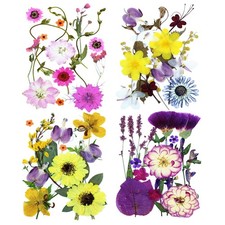 Dried Pressed Flowers for Crafts Resin DIY Art 60pcs Natural Dry Floral Color...