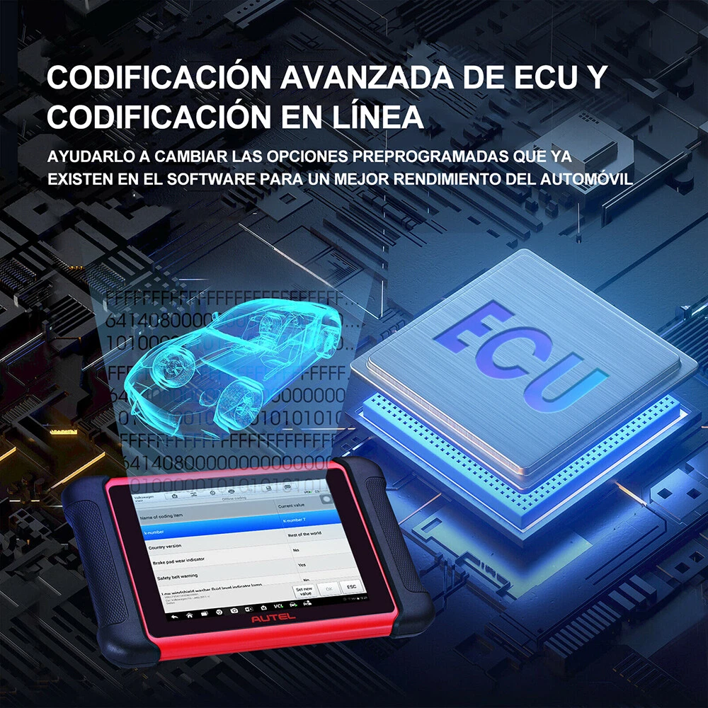 Imagen 6 de 12