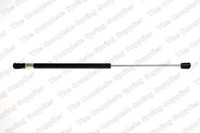 LesjÖFors 8127555 Gasfeder, Kofferraum-/Laderaumbereich FüR Ford