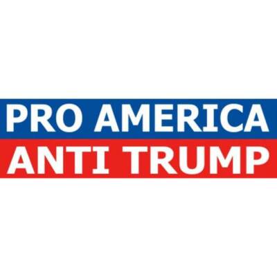 ANTI-LIBERAL PRO-TRUMP BUMPER STICKER DECAL REPUBLICAN 2024