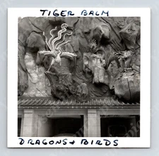Wd2 Original Photo 1950's  Hong Kong Tiger Balm Dragons / Birds 013a