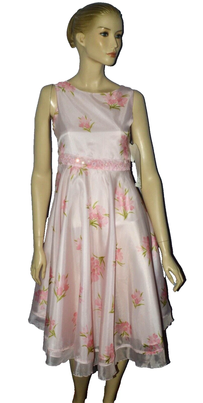 PRETTY N PINK NEW NWT STYLE 231 BIG GIRLS SIZE 14 PINK FLORAL SLEEVELESS DRESS
Opens in a new window