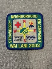 Girl Scouts Patch 2002 Camp Wai Lani Florida Strawberry Neighborhood Encampment