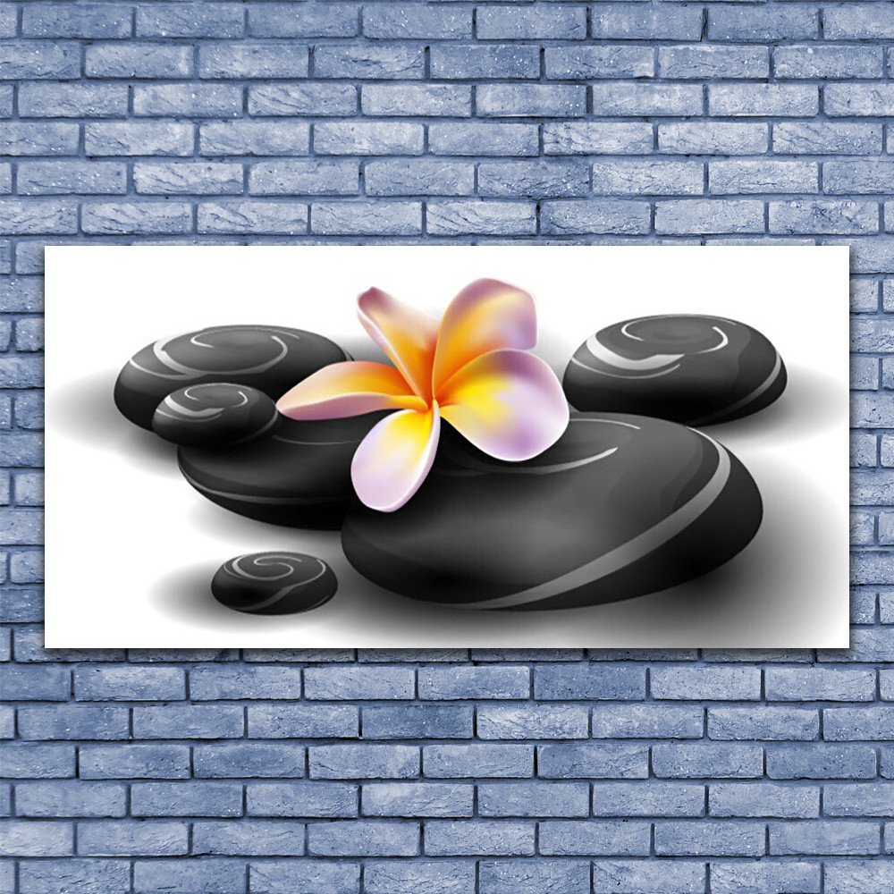 Tableau plexiglas 140x70 cm avec impression de fleurs et pierres pour une nature imprimée unique