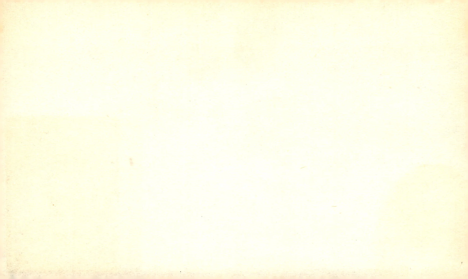 Bild 2 von 2