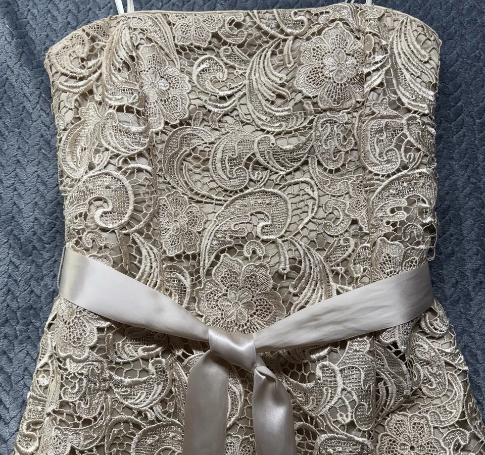 Vestido de cóctel Adrianna Papell Boutique de encaje 10 beige sin tirantes cinta de satén Foto 3 de 4
