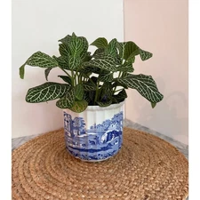 Vintage Copeland Spode’s “Italian” blue & white cachepot planter, Blue Room