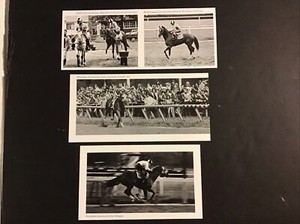 SECRETARIAT 5 PHOTOS Horse Racing 1973 ARLINGTON PARK RACE TRACK