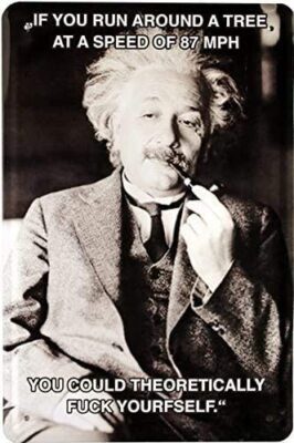 Blechschild Albert Einstein Spruch  If You Run Around a Tree  20x30cm