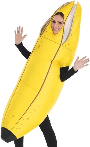 Summer Nights Sandy Yellow Grease 50's Retro Fancy Dress Halloween Adult  Costume | eBay