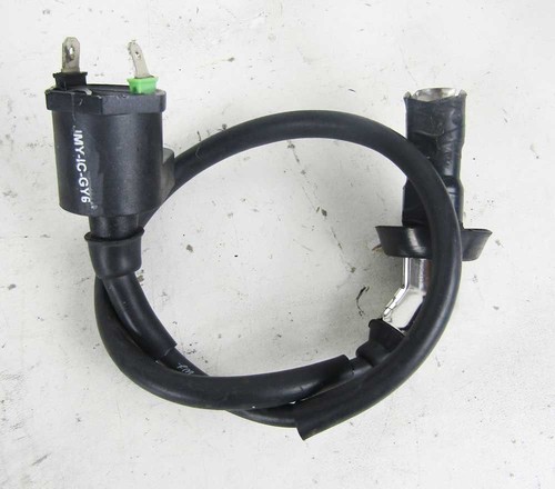 Bobina Accensione  HP POWER COPPER 50 4T serie 139QMB 2008 - 2014 - Foto 1 di 4