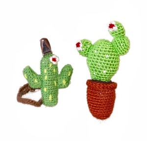 cactus pacifier