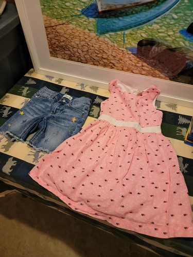 Jordache Jean Shorts And Pink Arizona Jeans Dress Kids Size 6 Girls