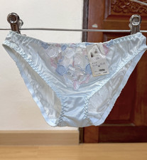 Vintage Baby Blue Sheer Nylon Panty Sissy Bikini Sz.5 Slippery Hi Cut Briefs